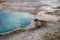 Abyss Pool, a thermal feature in the West Thumb Geyser Basin of Yellowstone National Park