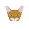 Abyssinian cat isolated on white background vector illustration