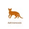 Abyssinian cat logo icon