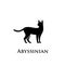 Abyssinian cat logo icon