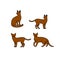 Abyssinian cat logo icon