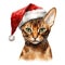 Abyssinian Cat Wearing a Santa Hat