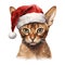 Abyssinian Cat Wearing a Santa Hat