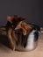 Abyssinian Kitten relaxing in cooking pot