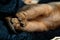 Abyssinian Kitten relaxing in her basket