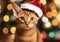 Abyssinian kitten wearing santa hat on christmas tree bokeh background.Macro.AI Generative