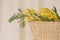 Acacia dealbata holiday vase flowers freshness bright