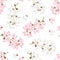 Acacia flowers seamless pattern. Branches of blooming acacia isolated on white background. Vector illustration of blossoming tree