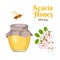 Acacia honey in a glass jar, a bee and a branch of blooming acacia isolated on a white background. Vector illustration