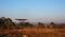 Acacia moon rise in Malawi