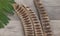 Acacia pods on wooden board