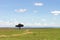 Acacia tree and gravel road between serengeti and masai mara