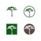 Acacia Tree Logo Design Set