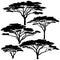 Acacia tree silhouettes