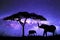 Acacia Tree standing silhouetted against the Milky Way