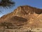 Acacia trees at the bottom of the desert hill at sunset