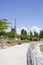 Acacias and black poplars in a park in summer