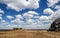 Acacias in the serengeti