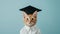 Academic Feline - Cat in Graduation Cap