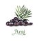 Acai berries for lables