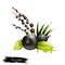 Acai Palm with Leaves Isolated. Amazon Berries