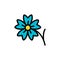 Acanthaceae blue flower icon. Simple color with outline vector elements of healing plant icons for ui and ux, website or mobile