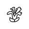 Acanthaceae white flower icon. Simple line, outline vector elements of botanicals icons for ui and ux, website or mobile