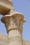 Acanthus, lotus and papyrus columns of Philae Temple