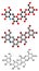 Acarbose diabetes drug molecule. Blocks carbohydrate digestion by inhibiting alpha-glucosidase enzymes