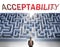 Acceptability can be hard to get - pictured as a word Acceptability and a maze to symbolize that there is a long and difficult