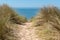 Access beach of island Noirmoutier by sand alley in vendee France