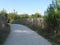 Access beach by sand pathway Le Verdon-sur-Mer France