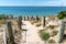 Access sandy beach of isle Noirmoutier by sand pathway in VendÃ©e France