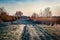 Access track through Fenland with frost and reedbed