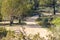 Access tracks to the  River Murray near Holder Bend lookout at Waikerie in the river land South Australia on the 20th June 2020