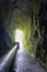 Access tunnel to Levada das 25 Fontes with water conduit and walls full of vegetation, Portuguese island of Madeira.