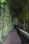 Access tunnel to Levada das 25 Fontes with water conduit and walls full of vegetation, Portuguese island of Madeira.
