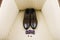 Accessories for the groom: brown shoes with laces, cufflinks and a purple bow tie on a light background