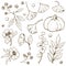 Accessory autumn doodle outline object vector