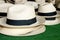 Accessory - Panama Hats