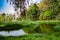 Acclimatization park in sao paulo brazil landscape in the middle of the city