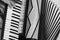 Accordionist plays vintage accordion. Black and white