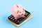Accounting business. Piggy bank symbol of money savings. Accounting software. Finances and investments. Piggy bank pink
