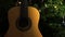 Accoustic guitar in front of Christmas tree