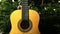 Accoustic guitar in front of Christmas tree