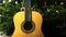 Accoustic guitar in front of Christmas tree