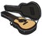 The accoustic guitar in a hard case