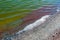 Accumulations of the salt-tolerant crustacean Artemia salina near the shore in a salt lake, Tiligul Liman