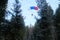 Accuracy skydiving. Skydiver is landing in the forest.