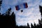 Accuracy skydiving. Skydiver is landing in the forest.